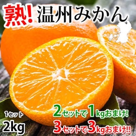 11/18~順次出荷【約2kg(2S~3L)】温州みかん 熊...