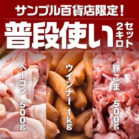 【計2kg】サンプル百貨店限定!!普段使い2kgセット