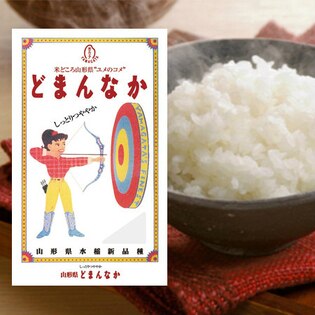 28年 山形県産どまんなか10kg